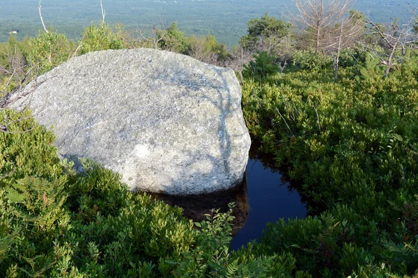 Roca Agua Rodeada Arbustos Arándanos Las Montañas Shawangunk Reserva Minnewaska — Foto de Stock