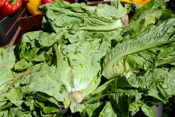 Primer Plano Lechuga Puesto Frutas Verduras — Foto de Stock