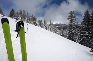 Üç kız kardeş vahşi doğada Oregon Backcountry içinde Tur kayağı