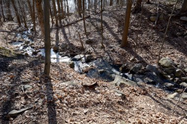 Şehir dışında New York'ta dağ dere