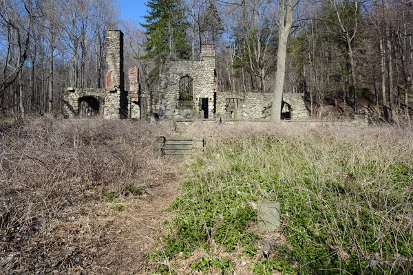 老康沃尔庄园的废墟在森林里 — 图库照片
