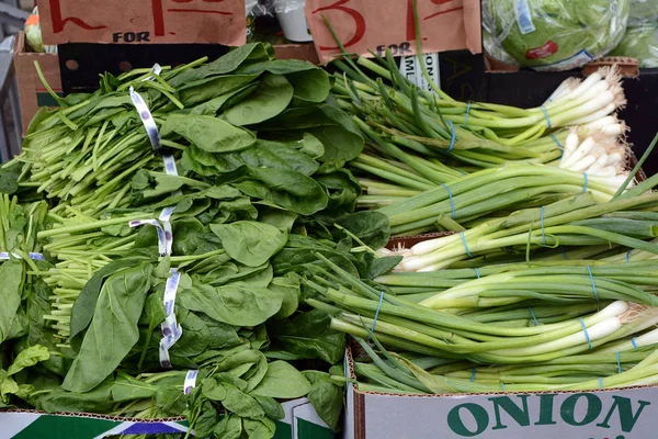 Paquetes Espinacas Cebollas Verdes Puesto Producción — Foto de Stock