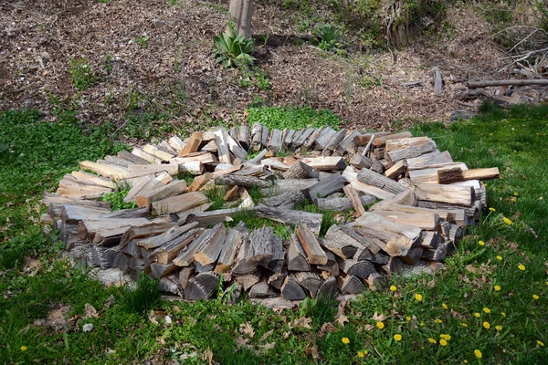 Circular Firewood Pile Ground — Stock Photo, Image