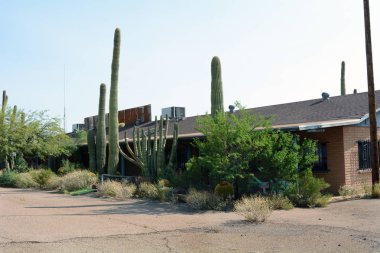 Terk edilmiş yol kenarında Restoran Binası çölde