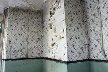 Boya ve duvar kağıdı Detroit terk edilmiş bir apartmanda içinde çürüyen duvar