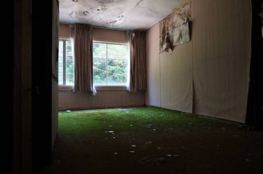 Görünümden kapı siyah küf ile odasına tavan ve Moss üzerinde terk edilmiş bir binada yerde