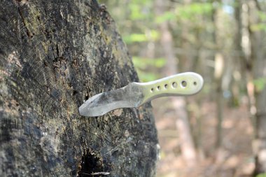 Paslanmaz çelik günlüğü hedef içinde sıkışmış bıçak atma