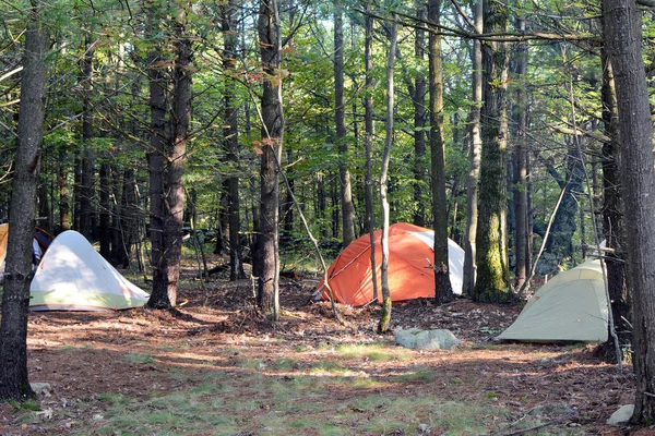 Catskill dağlarında bir ormandaki çadır