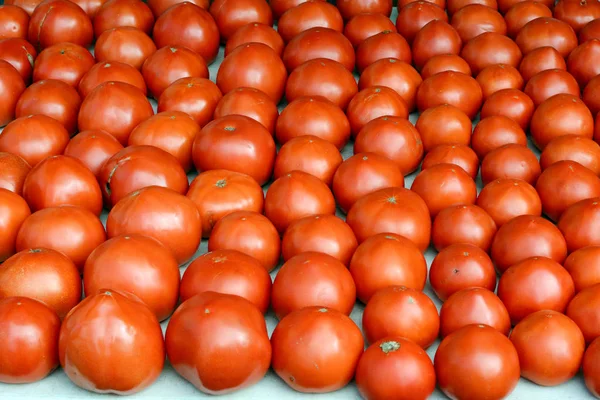 Tomates Rojos Maduros Filas Ordenadas Mesa — Foto de Stock