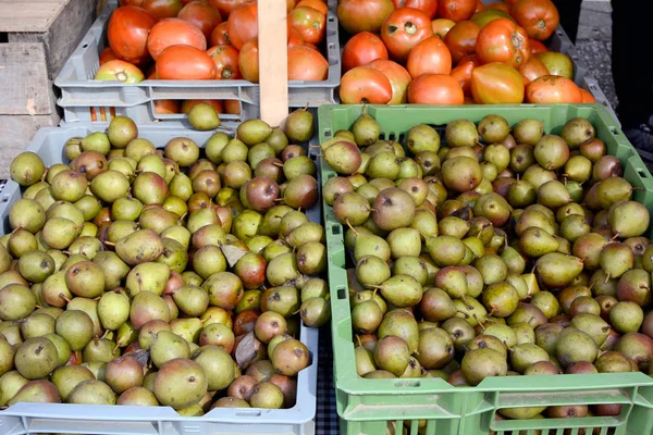 Castañas Crudas Cubos Mercado Agricultores — Foto de Stock