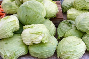 Çiftçi Market taze lahana