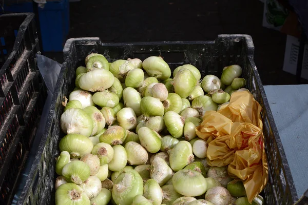 Cebollas Una Papelera Mercado Agricultores — Foto de Stock