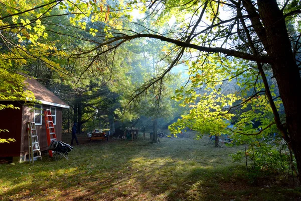 Shack Yard Wooded Rural Area — Stock Photo, Image