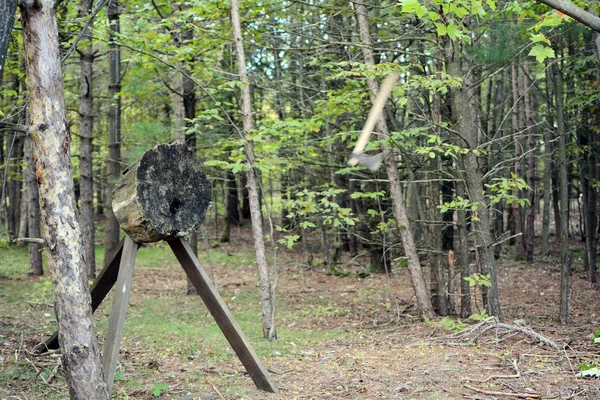 Tomahawk Hatchet Lanciato Bersaglio Nel Bosco — Foto Stock