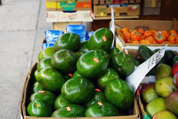 Fresco Avocado Florida Mercato — Foto Stock