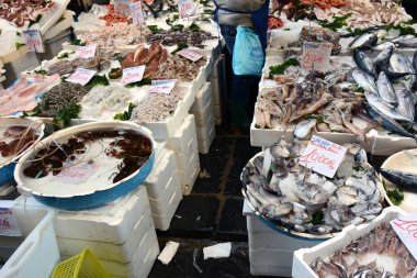 Napoli, İtalya bir semt pazarı, yerel balık taze yakaladı