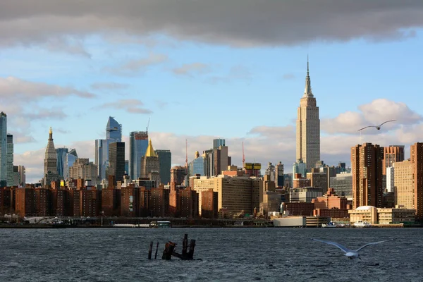 Midtown Manhattan Skyline Com Gaivotas — Fotografia de Stock