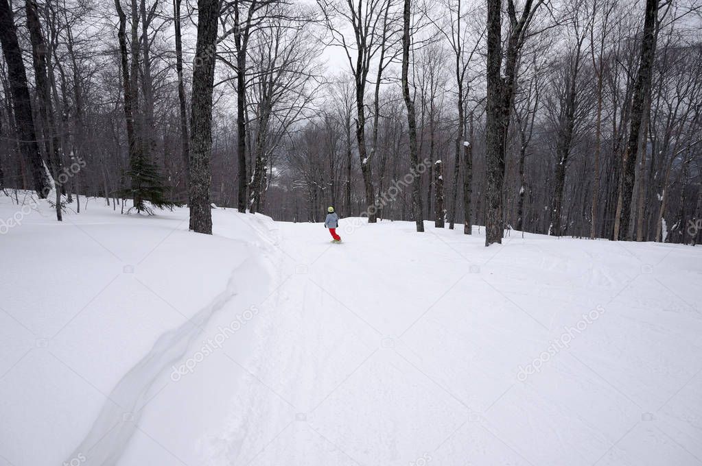 Typical New England Ski Trail at a Resort in Vermont                               