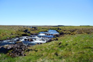 Akış ve İzlanda'daki Golden Circle çayır