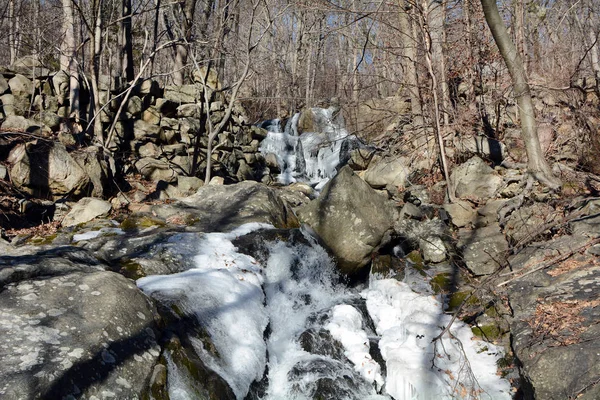 Parcialmente Congelado Creek Bosque — Foto de Stock