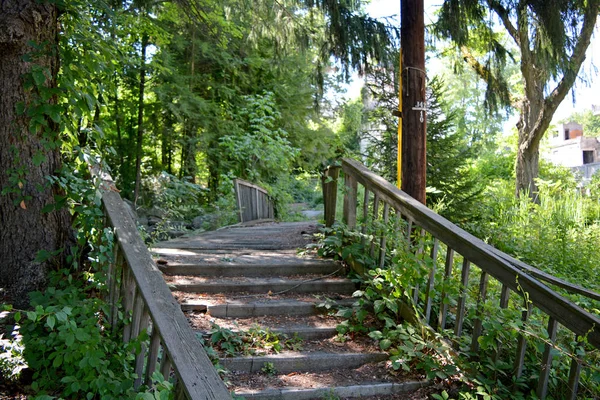 Blick Auf Verlassene Holzbrücke — Stockfoto
