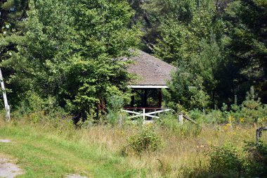 Terkedilmiş bir tema parkı bitki örtüsü ile büyümüş çardak