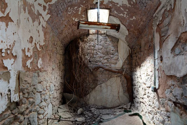 Gefängniszelle Mit Baumwurzeln Die Durch Eine Bröckelnde Mauer Einem Verlassenen — Stockfoto