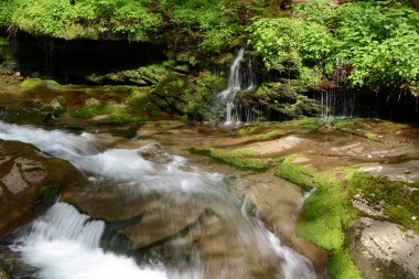 Rondout Creek Peekamoose Mavi Delik Upstate New York Catskill Dağları'nda