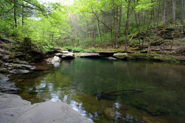 Peekamoose Blue Hole Nadando Buraco Nas Montanhas Catskill Norte Estado — Fotografia de Stock