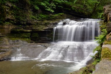 Şelale Buttermilk Falls State Park