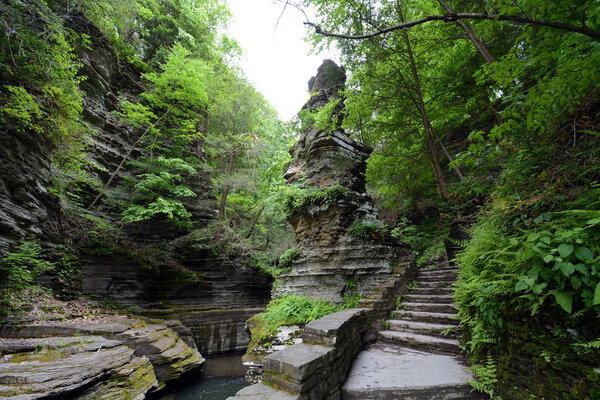 Stairs Along Trail In Buttermilk Falls State Park - Итака, Нью-Йорк
