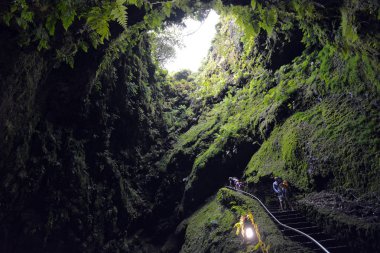 Algar do Carvao - Azores 'deki Terceira Adası' ndaki Merdiven ile Fern Kaplı Mağara Mağarası