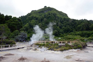 Lagoa das Furnas'ta Yerden Yükselen Gaz - Sao Miguel, Azores