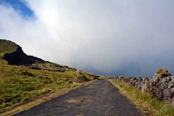 Road Mount Pico Pico Island Azores — Stock Photo, Image