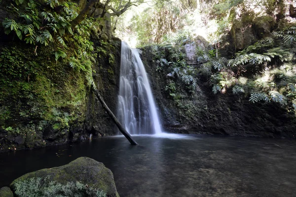 Salto Prego Wasserfall Auf Sao Miguel Auf Den Azoren — Stockfoto