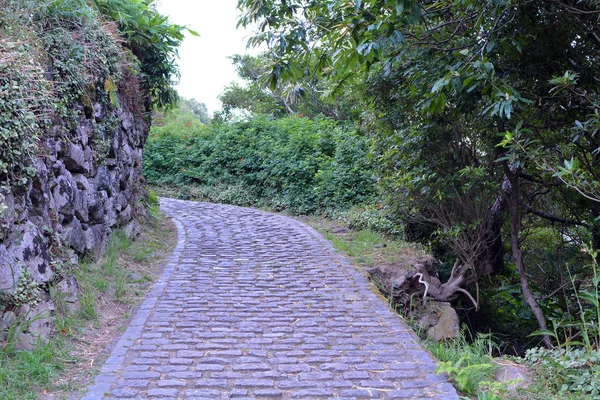 Caminho Cobblestone Trilho Salto Prego Ilha São Miguel Nos Açores — Fotografia de Stock