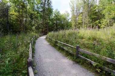 New York Catskill Dağları'nda Kaaterskill Şelalesi Üzerinde Split Demiryolu Çit ve Wildflowers ile Yol