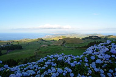 Capelas ile Sao Miguel 'in kırsal kesiminde, Azores