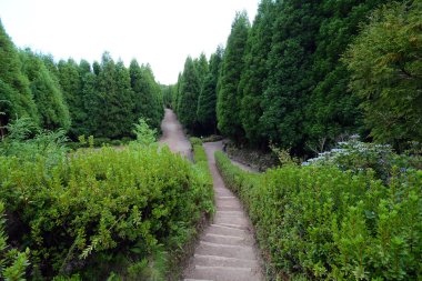 Miradouro da Grota 'ya giden yol Azores' deki Miguel Sao 'ya Cehennem Bakış Açısı' na çıkıyor.