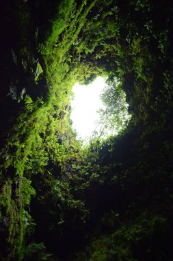 Azores 'deki Terceira Adası' ndaki Algar do Carvao 'da bir lav tüneline bakıyorum.