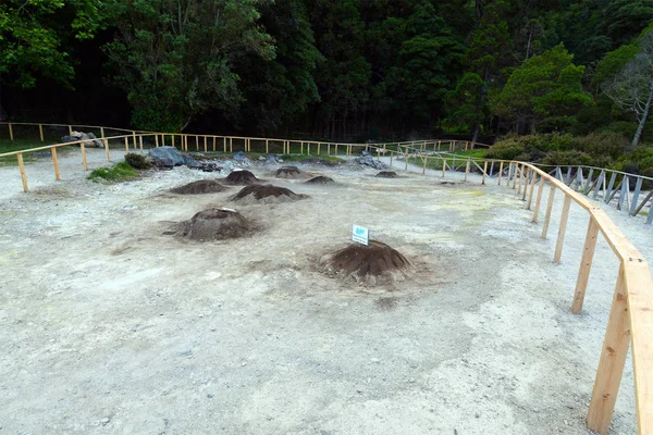 Cozido Cucinare Suolo Dall Attività Geotermica Lagos Das Furnas Sao — Foto Stock