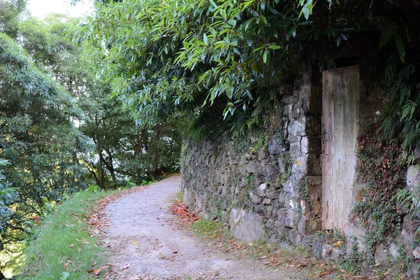 Muro Con Vecchia Porta Rustica Legno Lungo Sentiero Del Salto — Foto Stock