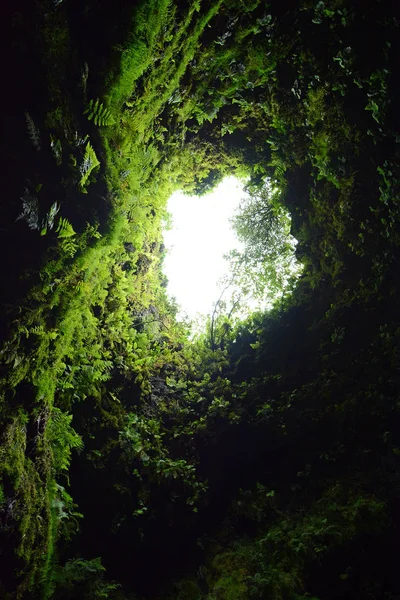 Buscando Metro Lava Algar Carvao Isla Terceira Las Azores — Foto de Stock