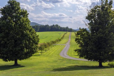 New York'un Taşrasında Kırsal Alanda Yeni Ağaçların Allee'si