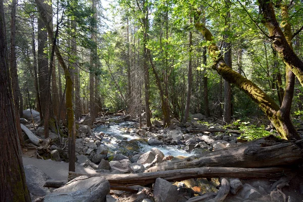 Bridal Veil Creek Parque Nacional Yosemite Califórnia Eua — Fotografia de Stock