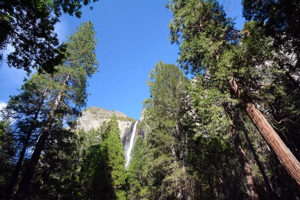 Titta Upp Genom Träden Bridal Veil Falls Yosemite National Park — Stockfoto