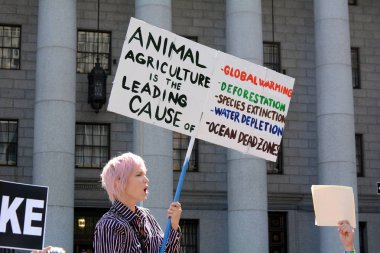 Foley Meydanı'nda İklim Strike Sign ile Genç Kadın Protestocu, New York, Ny, Abd Eylül'de 20, 2019