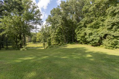 Gölgeli Çim ve Orman ile çevrili