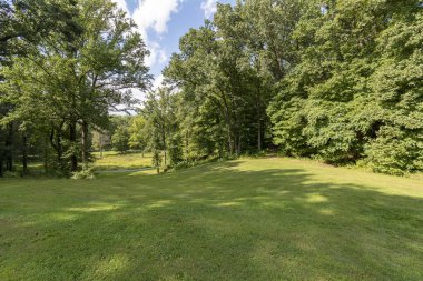 Gölgeli Çim ve Orman ile çevrili