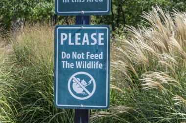 Lütfen Vahşi Yaşam İşaretini Beslemeyin